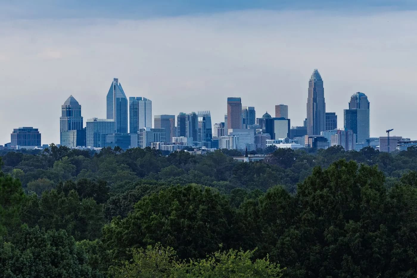 Uptown Charlotte, North Carolina skyline above the tree line